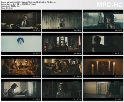 Wildcat.2023.1080p.WEB-DL.AAC.DUAL.H264-TORK.mkv.jpg