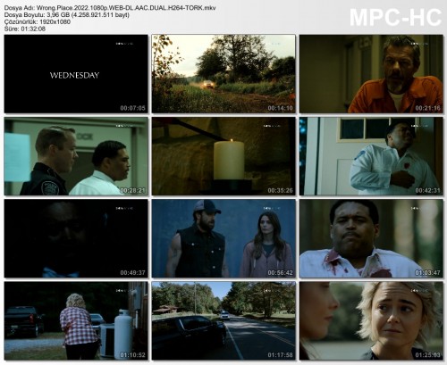 Wrong.Place.2022.1080p.WEB-DL.AAC.DUAL.H264-TORK.mkv.jpg