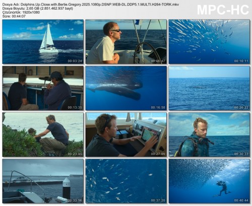 Dolphins.Up.Close.with.Bertie.Gregory.2025.1080p.DSNP.WEB-DL.DDP5.1.MULTI.H264-TORK.mkv.jpg
