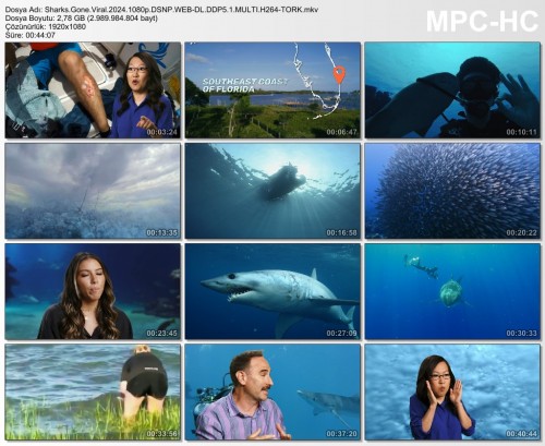 Sharks.Gone.Viral.2024.1080p.DSNP.WEB-DL.DDP5.1.MULTI.H264-TORK.mkv.jpg