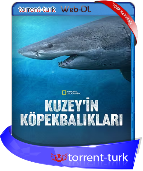 Sharks.Of.The.North-TORK.png