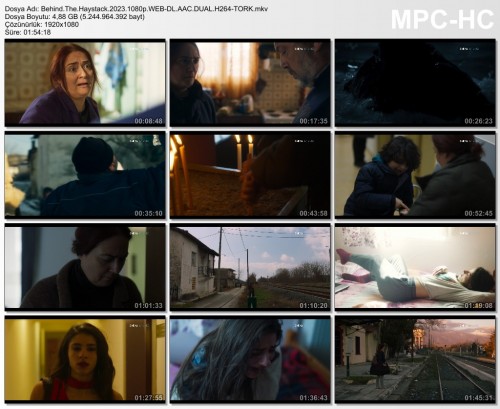 Behind.The.Haystack.2023.1080p.WEB-DL.AAC.DUAL.H264-TORK.mkv.jpg