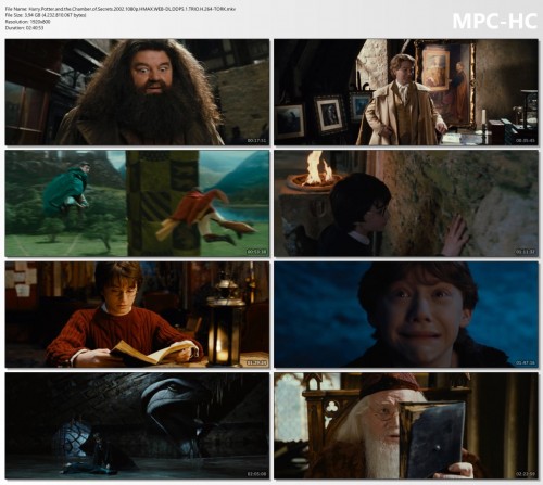 Harry.Potter.and.the.Chamber.of.Secrets.2002.1080p.HMAX.WEB-DL.DDP5.1.TRIO.H.264-TORK.mkv_thumbs.jpg