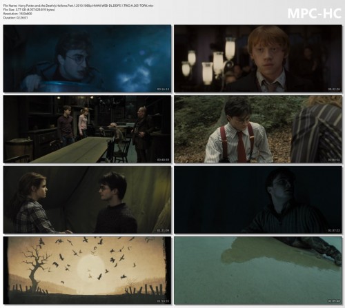 Harry.Potter.and.the.Deathly.Hallows.Part.1.2010.1080p.HMAX.WEB-DL.DDP5.1.TRIO.H.265-TORK.mkv_thumbs.jpg