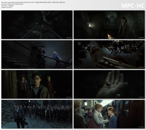 Harry.Potter.and.the.Deathly.Hallows.Part.2.2011.1080p.HMAX.WEB-DL.DDP5.1.TRIO.H.265-TORK.mkv_thumbs.jpg