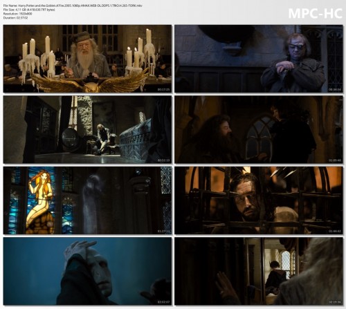 Harry.Potter.and.the.Goblet.of.Fire.2005.1080p.HMAX.WEB-DL.DDP5.1.TRIO.H.265-TORK.mkv_thumbs.jpg