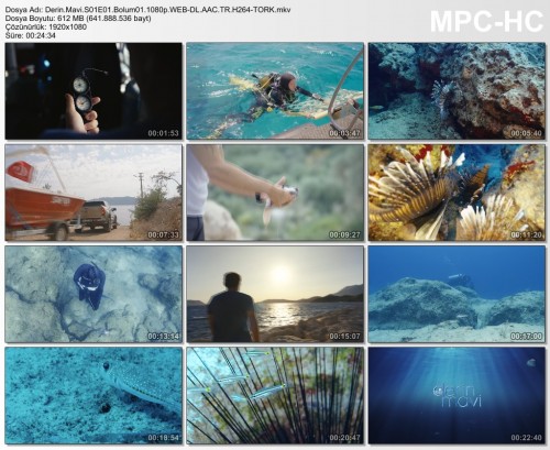 Derin.Mavi.S01E01.Bolum01.1080p.WEB-DL.AAC.TR.H264-TORK.mkv.jpg