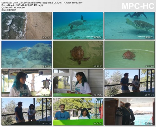 Derin.Mavi.S01E02.Bolum02.1080p.WEB-DL.AAC.TR.H264-TORK.mkv.jpg