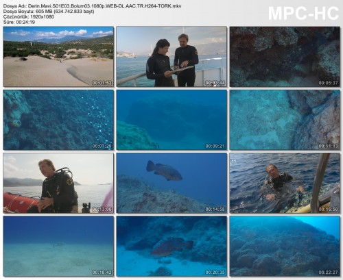 Derin.Mavi.S01E03.Bolum03.1080p.WEB-DL.AAC.TR.H264-TORK.mkv.jpg