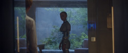 Ex.Machina.2014.AMZN.WEB-DL.1080p.H264.DD5.1.E-AC3.DUAL.TORK.mkv_snapshot_00.13.41.608.jpg