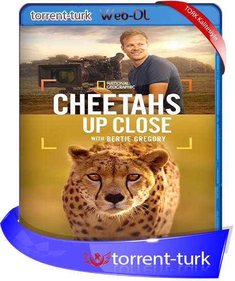 Cheetahs.Up.Close-TORK.png