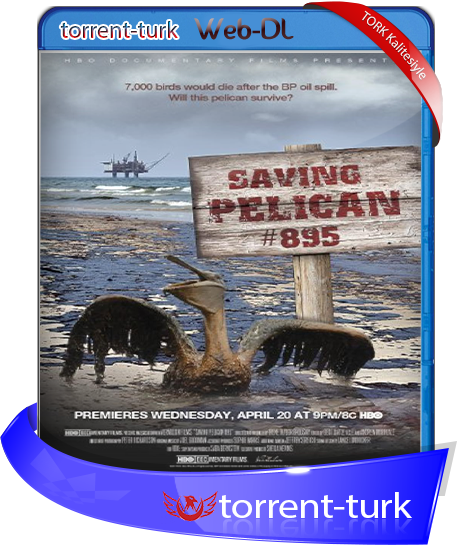 Saving.Pelican.895-TORK.png