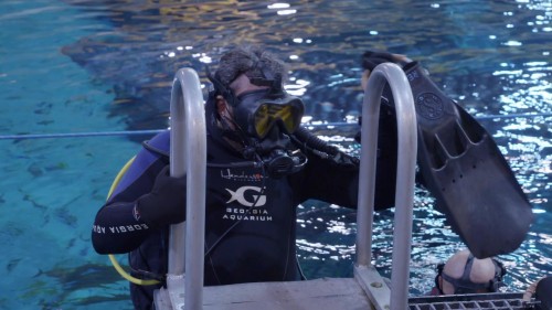 The.Aquarium.S01E01.3.jpg
