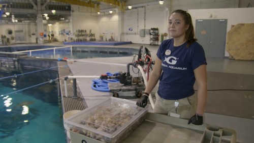 The.Aquarium.S02E01.5.jpg