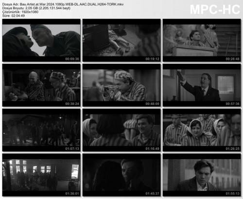 Bau.Artist.at.War.2024.1080p.WEB-DL.AAC.DUAL.H264-TORK.mkv.jpg
