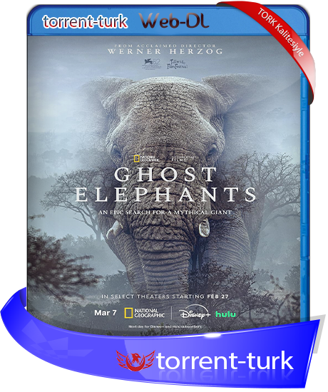 Ghost.Elephants-TORK.png