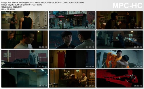 Birth.of.the.Dragon.2017.1080p.AMZN.WEB-DL.DDP5.1.DUAL.H264-TORK.mkv.jpg
