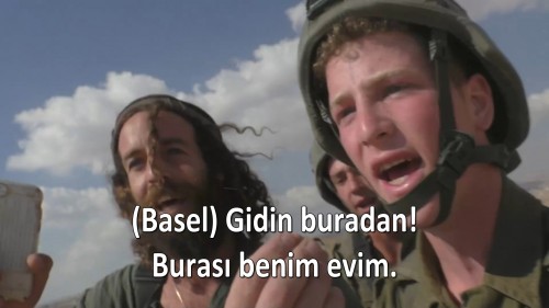XCF.jpg
