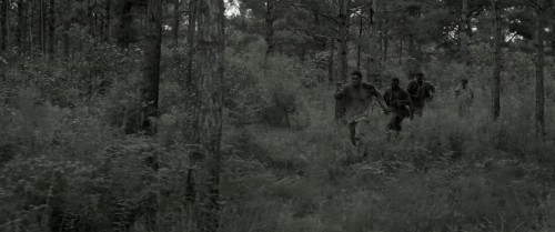 XmT.jpg