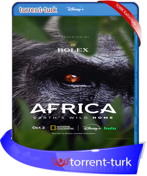 401ea5e5f1086410bee406c3a649f374.png