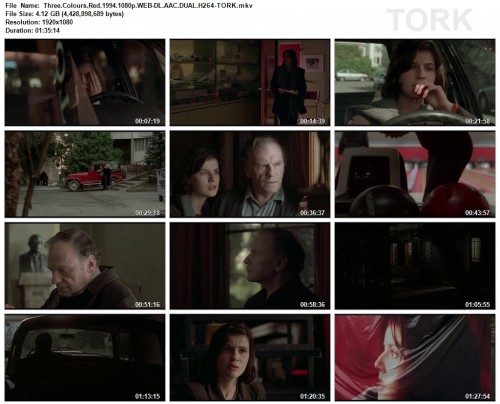 8caa424a98ffe5f7abccb95744eafc8b.jpg